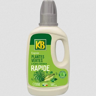 engrais plantes d-interieur